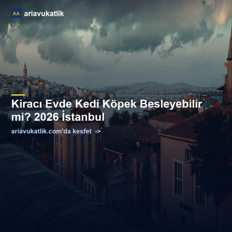Kiracı Evde Kedi Köpek Besleyebilir mi? 2026 İstanbul — ariavukatlik.com